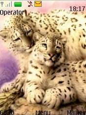 game pic for Snow Leopards